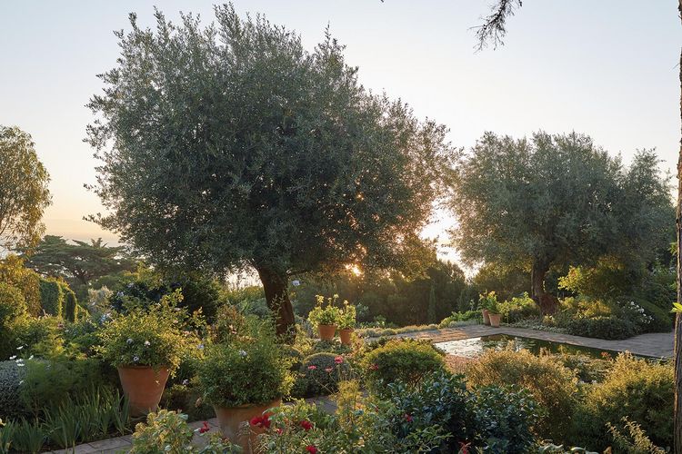 Produktbild: Glorious Gardens