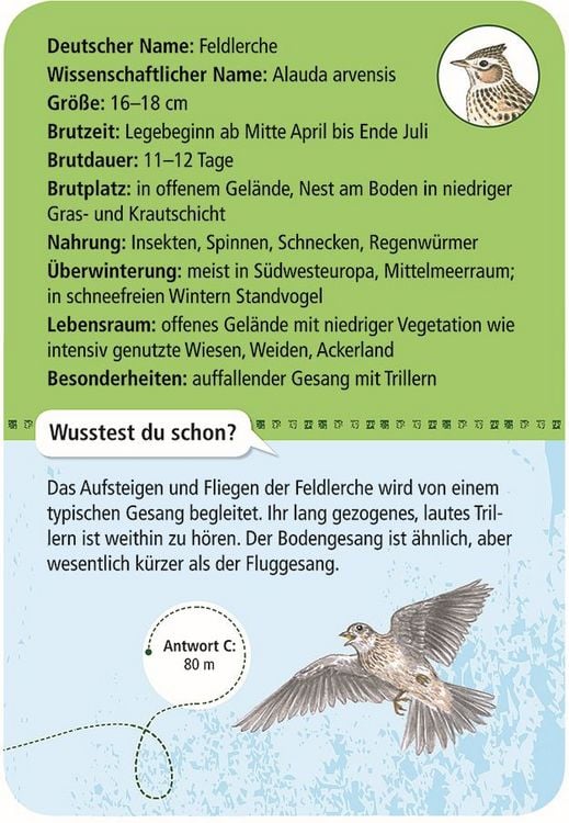 Produktbild: Expedition Natur - 50 heimische V&ouml;gel