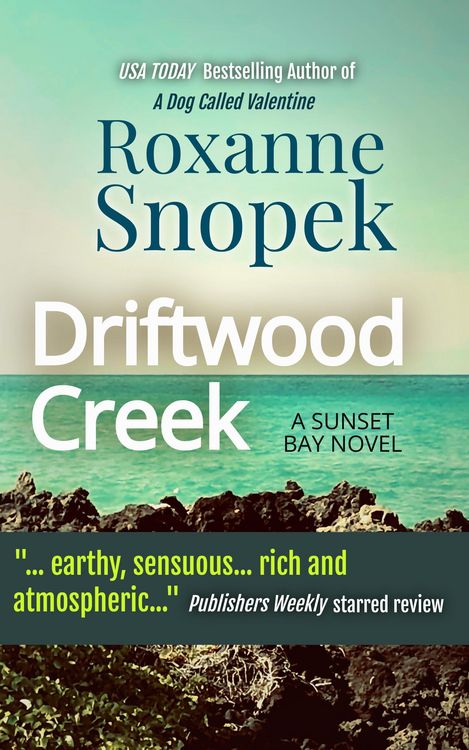 Produktbild: Driftwood Creek (Sunset Bay, #2)