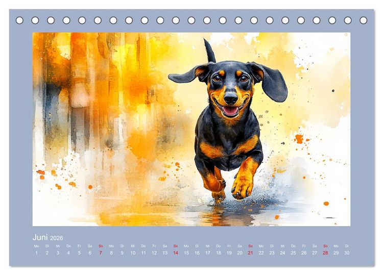 Produktbild: Dackelzauber. Charmante Begleiter im lieblichen Aquarell-Stil (Tischkalender 2026 DIN A5 quer), CALVENDO Monatskalender
