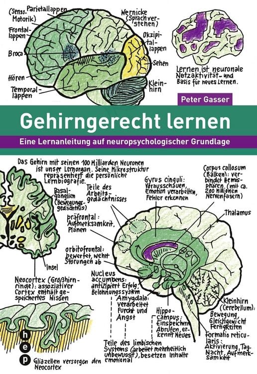 Produktbild: Gehirngerecht lernen (E-Book)