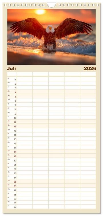 Produktbild: Familienplaner 2026 - Majest&auml;tische Wei&szlig;kopfseeadler - Der K&ouml;nig der L&uuml;fte mit 5 Spalten (Wandkalender, 21 x 45 cm) CALVENDO
