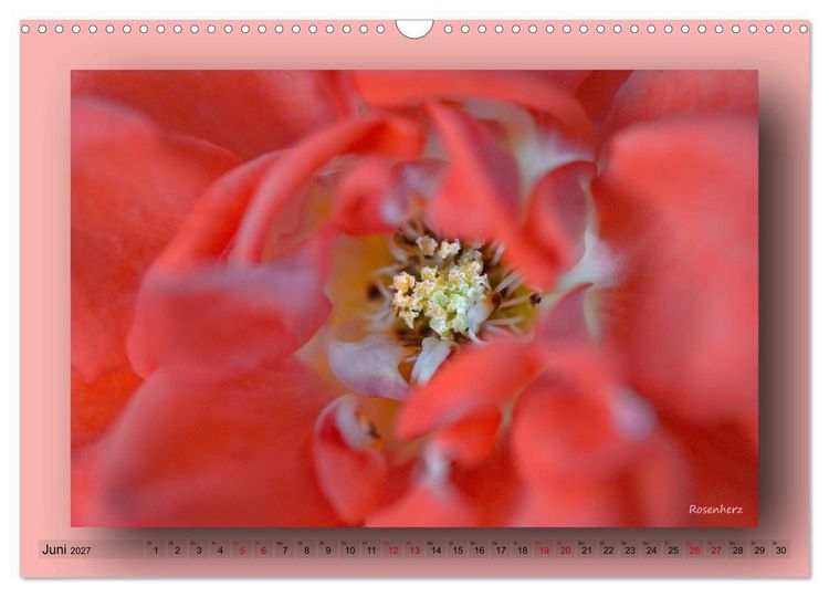 Produktbild: Foto-Art-Natur (Wandkalender 2027 DIN A3 quer), CALVENDO Monatskalender