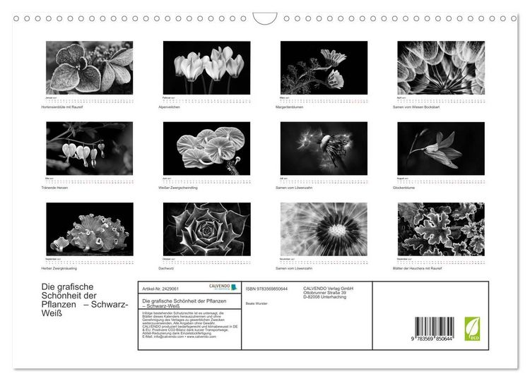 Produktbild: Die grafische Sch&ouml;nheit der Pflanzen &ndash; Schwarz-Wei&szlig; (Wandkalender 2027 DIN A3 quer), CALVENDO Monatskalender