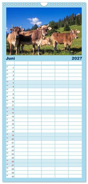 Produktbild: Familienplaner 2027 - Graub&uuml;nden Engadin mit 5 Spalten (Wandkalender, 21 x 45 cm) CALVENDO