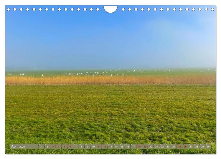 Produktbild: Erlebe mit mir die Niederlande (Wandkalender 2026 DIN A4 quer), CALVENDO Monatskalender