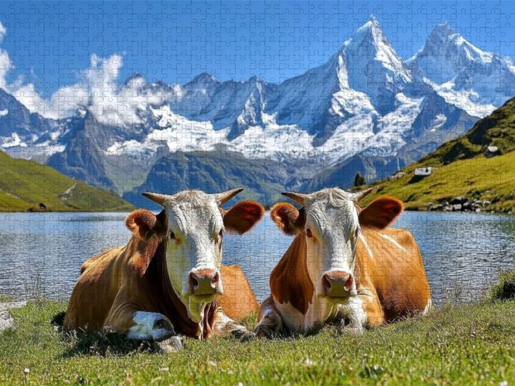 Produktbild: CALVENDO Puzzle Wir machen Pause | 1000 Teile Lege-Gr&ouml;&szlig;e 64x48cm Foto-Puzzle f&uuml;r gl&uuml;ckliche Stunden