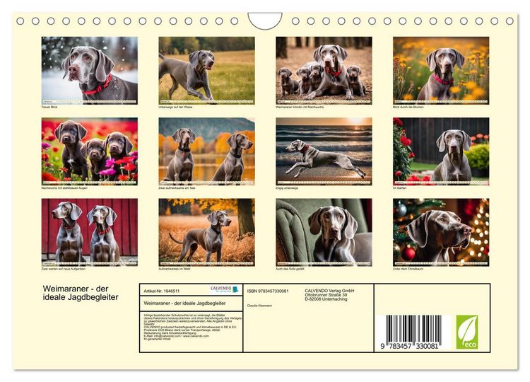 Produktbild: Weimaraner - der ideale Jagdbegleiter (Wandkalender 2026 DIN A4 quer), CALVENDO Monatskalender