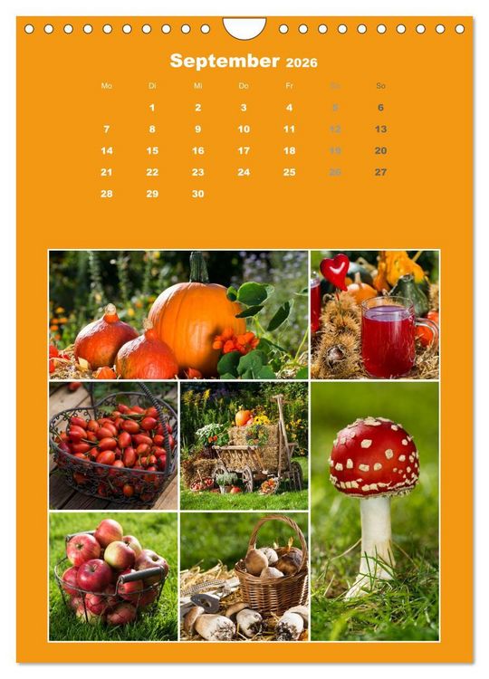 Produktbild: Der kunterbunte Collagen Kalender (Wandkalender 2026 DIN A4 hoch), CALVENDO Monatskalender