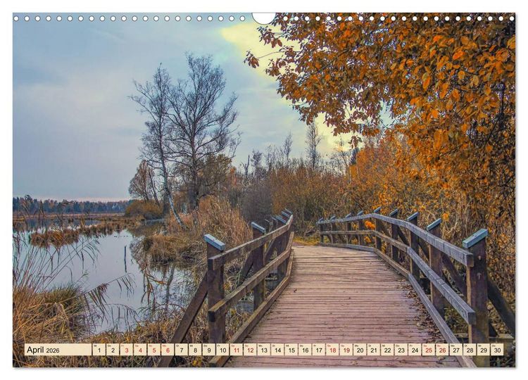 Produktbild: Herbst im Schwenninger Moos (Wandkalender 2026 DIN A3 quer), CALVENDO Monatskalender