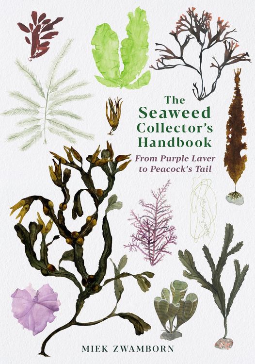 Produktbild: The Seaweed Collector's Handbook