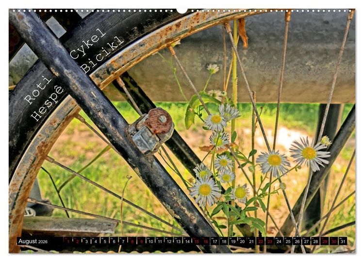 Produktbild: Weltfahrrad (Wandkalender 2026 DIN A2 quer), CALVENDO Monatskalender