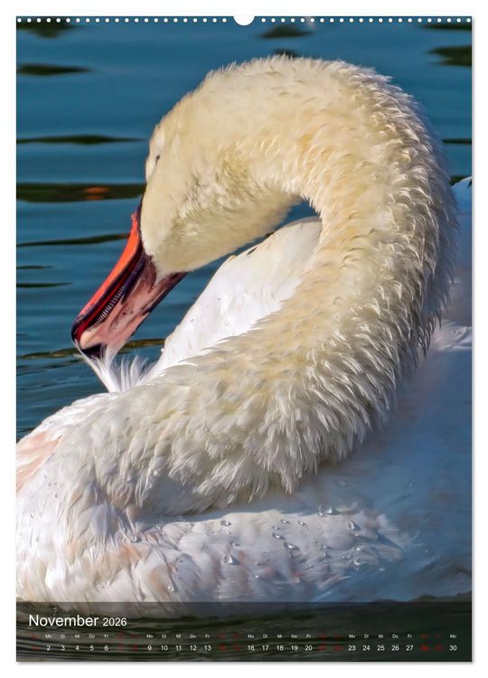 Produktbild: Der Schwan (hochwertiger Premium Wandkalender 2026 DIN A2 hoch), Kunstdruck in Hochglanz