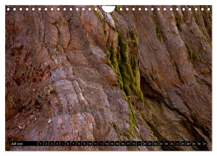 Produktbild: Yosemite - USA (Wandkalender 2026 DIN A4 quer), CALVENDO Monatskalender