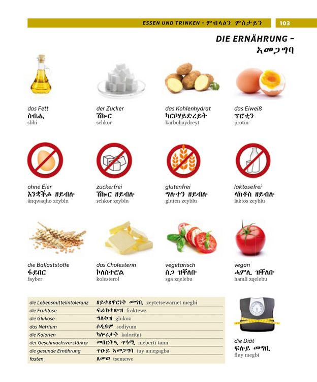 Produktbild: PONS Bildw&ouml;rterbuch Tigrinisch
