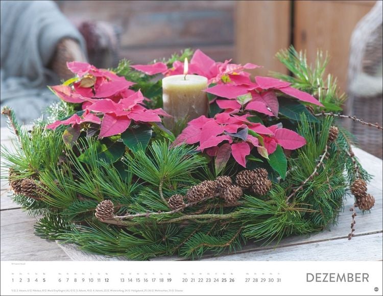 Produktbild: Blumenpracht Posterkalender 2027