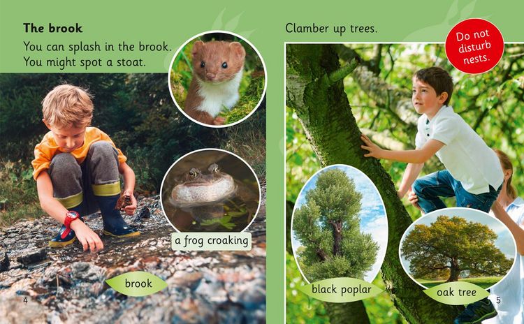 Produktbild: BIG CAT - A TRAIL IN THE WOODS