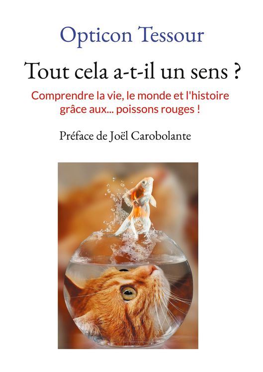 Produktbild: Tout cela a-t-il un sens ?