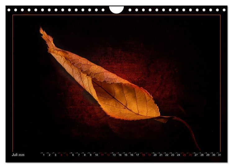 Produktbild: Blattkunstwerke (Wandkalender 2026 DIN A4 quer), CALVENDO Monatskalender