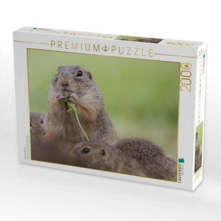 Produktbild: CALVENDO Puzzle Ziesel isst Blume | 2000 Teile Lege-Gr&ouml;&szlig;e 90x67cm Foto-Puzzle f&uuml;r gl&uuml;ckliche Stunden