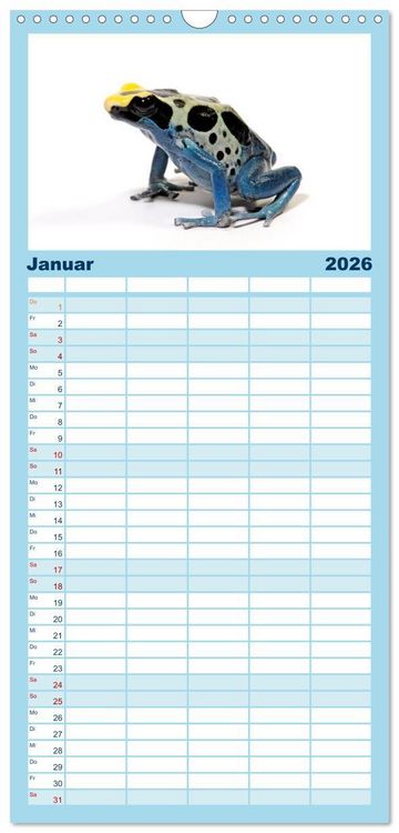 Produktbild: Familienplaner 2026 - Farbenpracht der Fr&ouml;sche mit 5 Spalten (Wandkalender, 21 x 45 cm) CALVENDO
