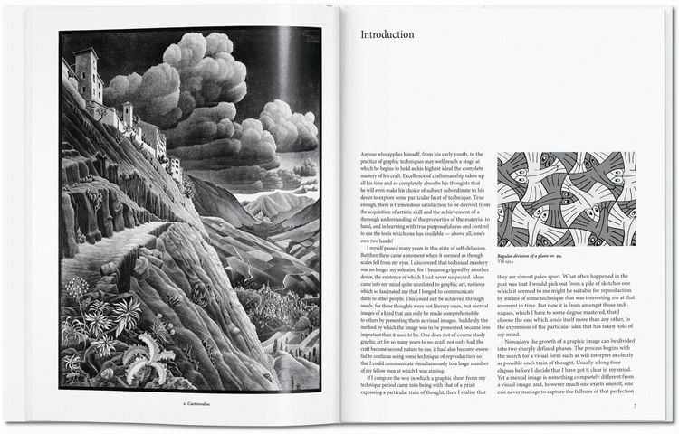 Produktbild: M. C. Escher. Grafik und Zeichnungen