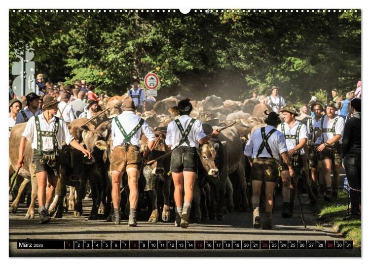Produktbild: Faszination Allg&auml;u (Wandkalender 2026 DIN A2 quer), CALVENDO Monatskalender