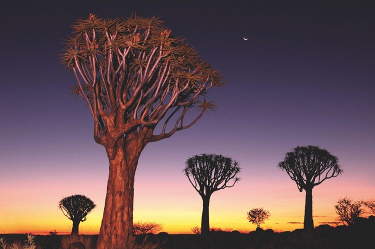 Produktbild: 100 Highlights Afrikas S&uuml;den