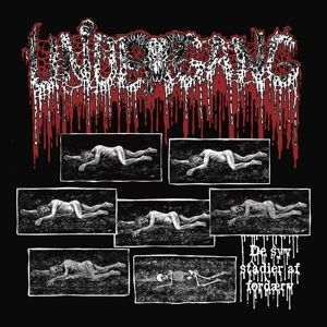 Produktbild: Undergang: Syv Stadier Af Fordaerv