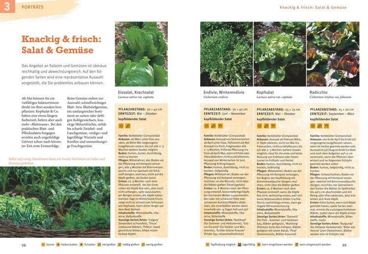 Produktbild: Obst & Gem&uuml;se selbst anbauen