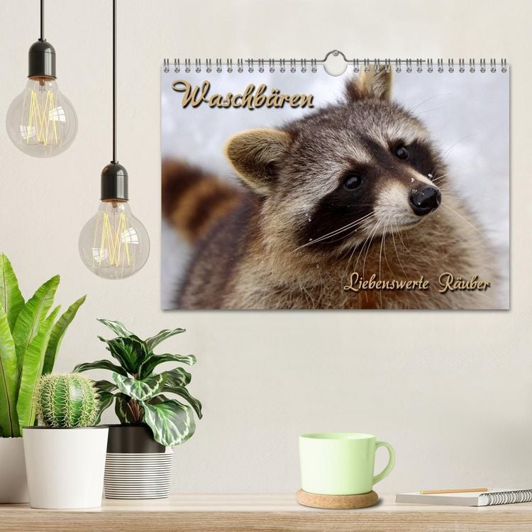 Produktbild: Waschb&auml;ren (Wandkalender 2026 DIN A4 quer), CALVENDO Monatskalender