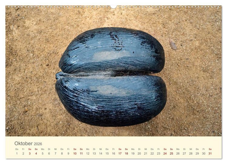 Produktbild: Traumhafte Seychellen (hochwertiger Premium Wandkalender 2026 DIN A2 quer), Kunstdruck in Hochglanz