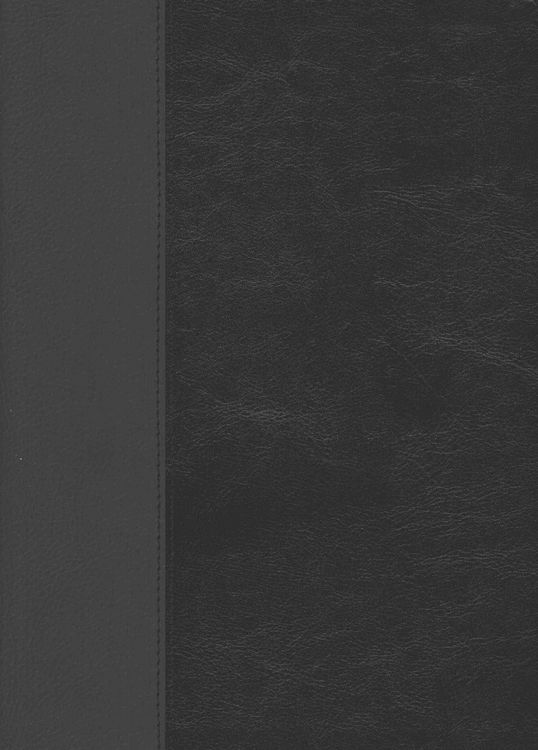 Produktbild: Every Man's Bible-NLT-Large Print