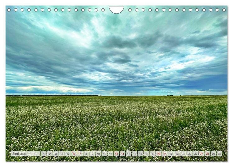 Produktbild: Fischland zwischen Ostsee und Bodden (Wandkalender 2026 DIN A4 quer), CALVENDO Monatskalender