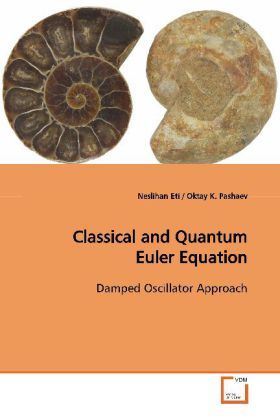 Produktbild: Eti, N: Classical and Quantum Euler Equation