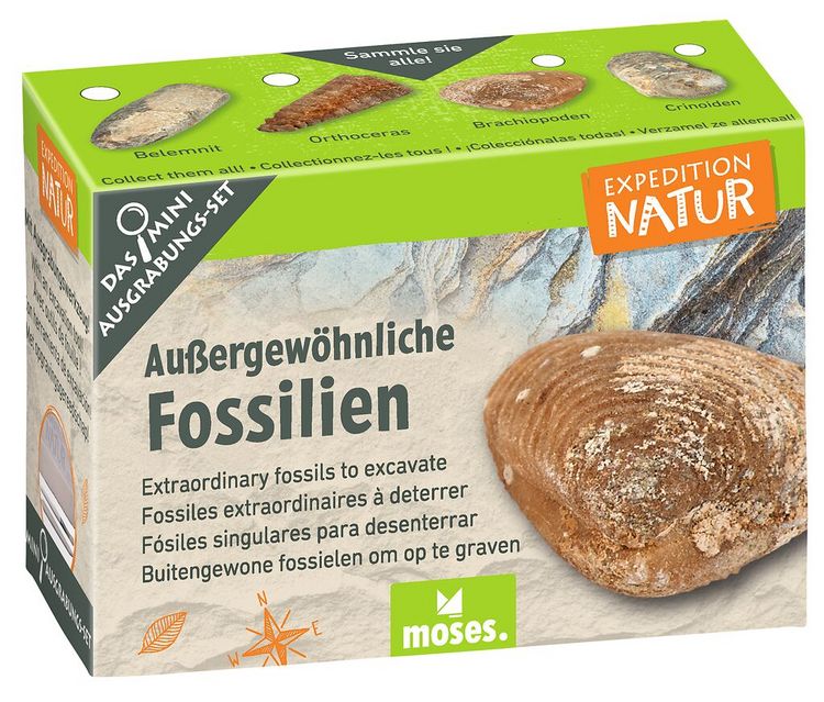 Produktbild: Expedition Natur Mini-Ausgrabungssets
