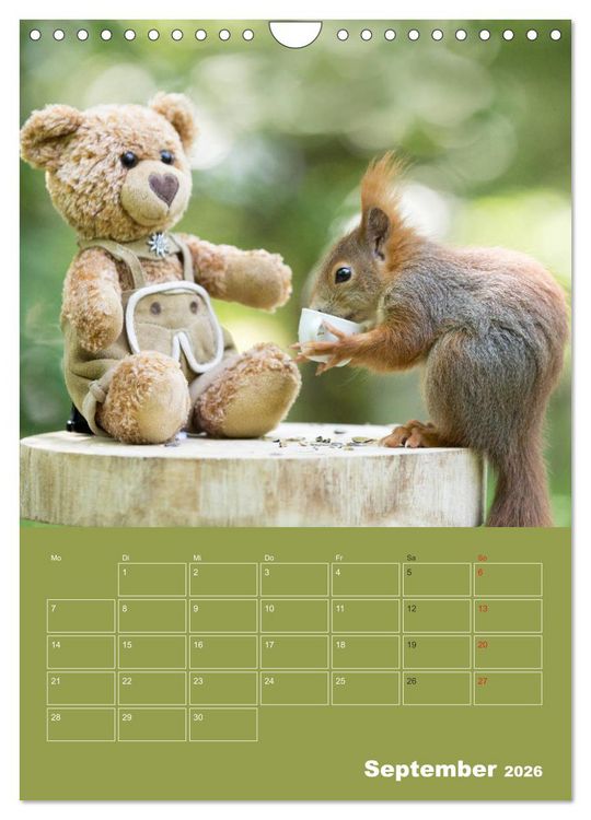 Produktbild: Eichh&ouml;rnchen - Abenteuer mit Freund Teddy (Wandkalender 2026 DIN A4 hoch), CALVENDO Monatskalender