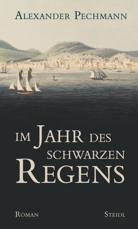 Produktbild: Im Jahr des schwarzen Regens