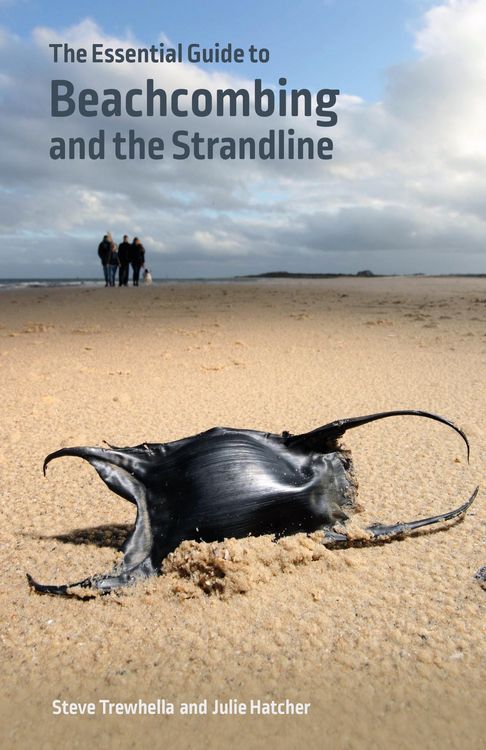 Produktbild: The Essential Guide to Beachcombing and the Strandline