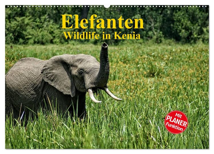 Produktbild: Elefanten . Wildlife in Kenia (Wandkalender 2026 DIN A2 quer), CALVENDO Monatskalender