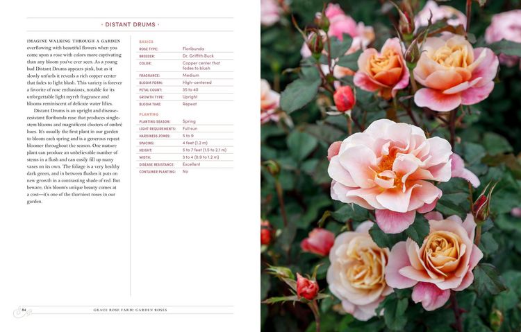 Produktbild: Grace Rose Farm: Garden Roses