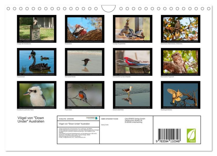 Produktbild: V&ouml;gel von "Down Under" Australien (Wandkalender 2027 DIN A4 quer), CALVENDO Monatskalender