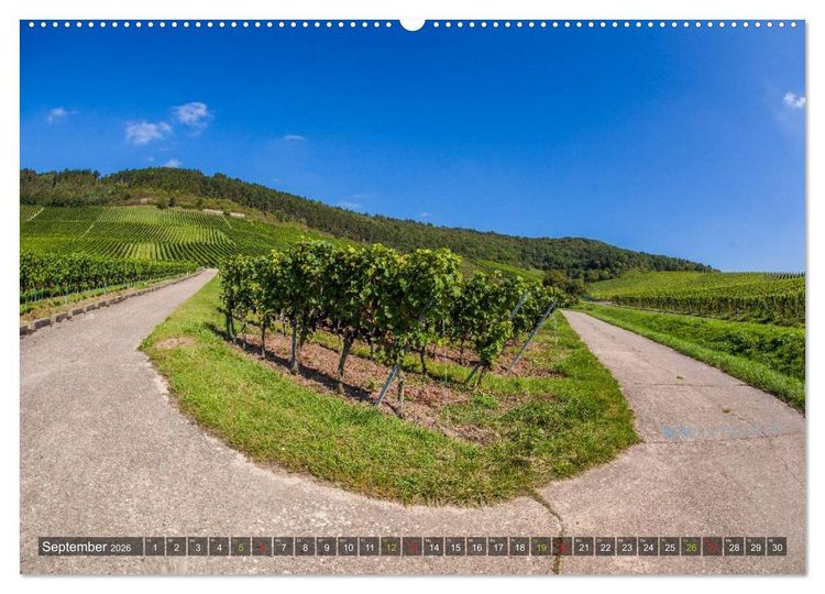 Produktbild: Weinland Franken (Wandkalender 2026 DIN A2 quer), CALVENDO Monatskalender