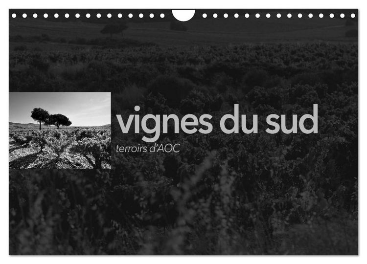 Produktbild: VIGNES DU SUD terroirs d'AOC (Calendrier mural 2026 DIN A4 vertical), CALVENDO calendrier mensuel