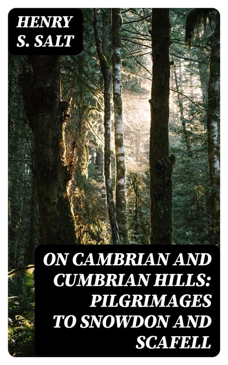 Produktbild: On Cambrian and Cumbrian Hills: Pilgrimages to Snowdon and Scafell