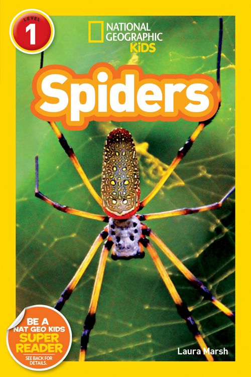 Produktbild: Spiders (National Geographic Readers, Level 1)