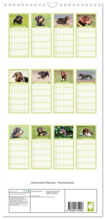 Produktbild: Familienplaner 2027 - Liebenswerte Rabauken - Rauhaardackel mit 5 Spalten (Wandkalender, 21 x 45 cm) CALVENDO