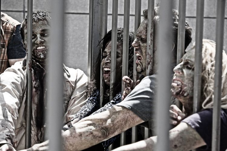 Produktbild: Z Nation - Staffel 1 [3 DVDs]
