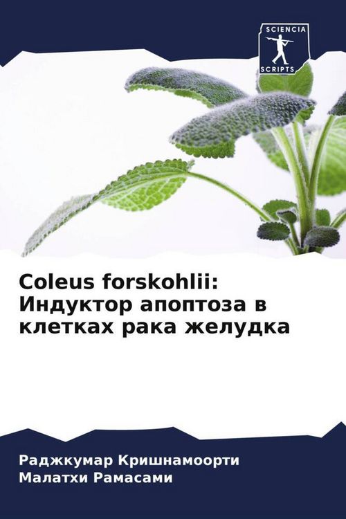 Produktbild: Coleus forskohlii: Induktor apoptoza w kletkah raka zheludka