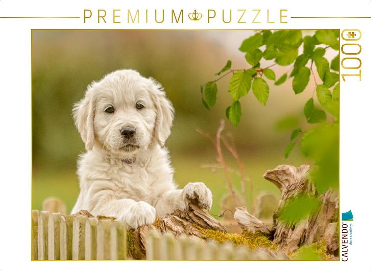 Produktbild: CALVENDO Puzzle Ein Motiv aus dem Kalender Golden Retriever... Herzenshunde | 1000 Teile Lege-Gr&ouml;&szlig;e 64x48cm Foto-Puzzle f&uuml;r gl&uuml;ckliche Stunden